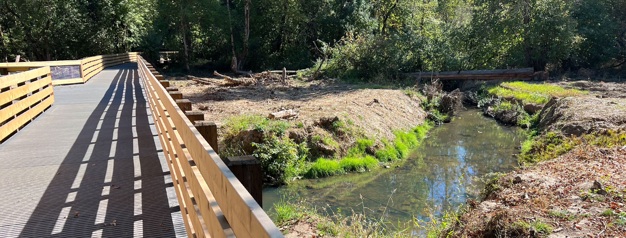 Cedar Mill Creek & Wetlands Restoration